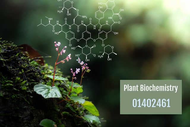 ภาพประกอบรายวิชา 01402461 Plant Biochemistry